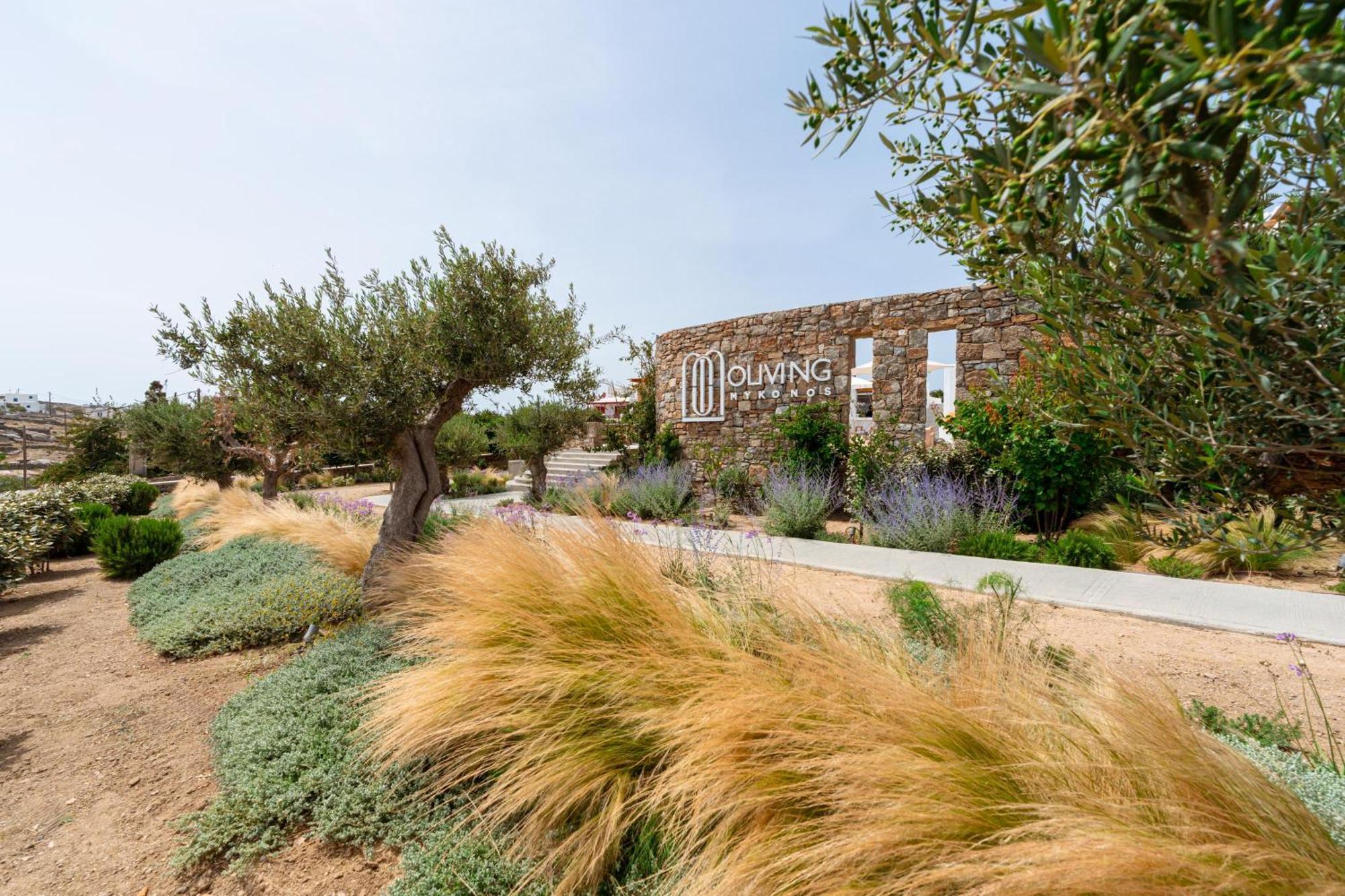 Oliving Mykonos Luxury Suites Kluvász Kültér fotó